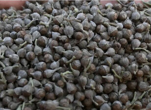 1662805466276894.jpg 1.jpg