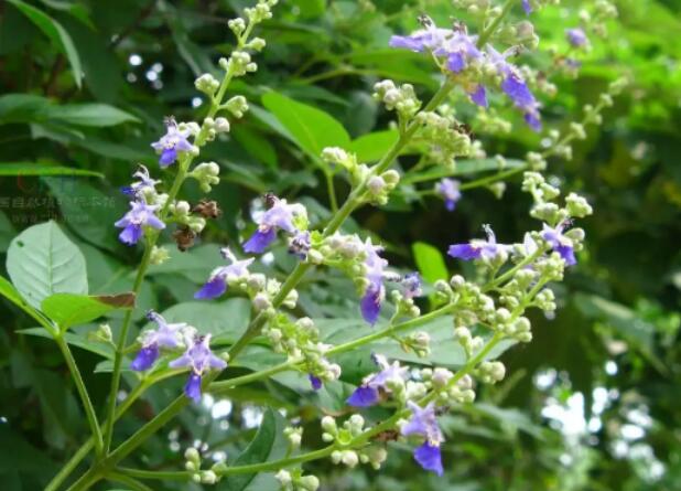 1662805493828514.jpg 1++.jpg