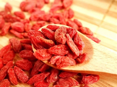 枸杞種子幾天發(fā)芽？