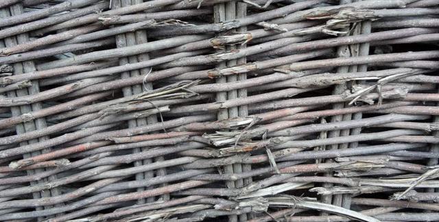 荊條的主要價值以及種植管理技術(shù)介紹 荊條的主要價值以及種植管理技術(shù)介紹