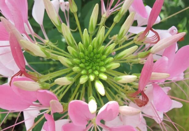 1665413186441534.jpg 9.jpg