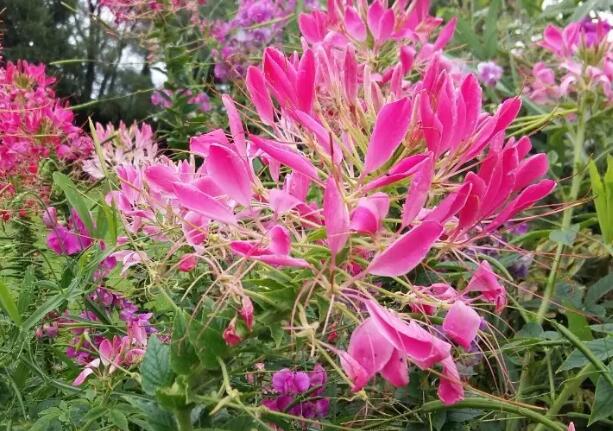 1665413199796747.jpg 9+.jpg