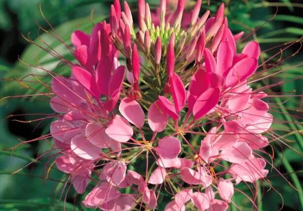 1665413210171718.jpg 9++.jpg