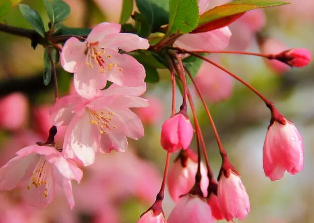 1665500676390454.jpg 6.jpg