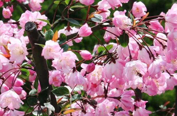 1665500688188676.jpg 6+.jpg