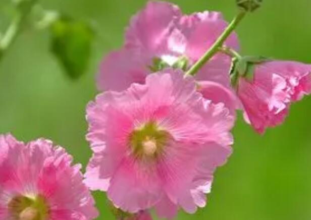 1666796981189563.jpg 4+.jpg