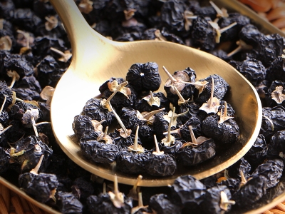 黑枸杞種子多長(zhǎng)時(shí)間發(fā)芽