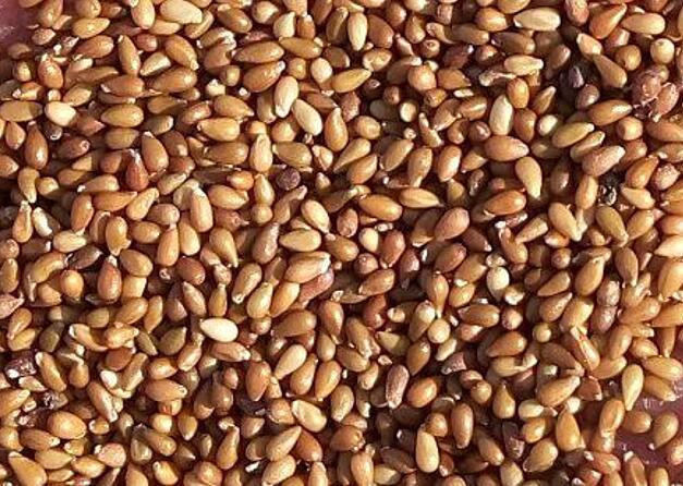 1671030055330935.jpg 7.jpg