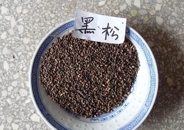 1671031459627581.jpg 4.jpg