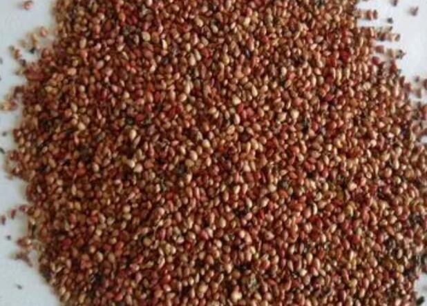 1671114599861002.jpg 8.jpg