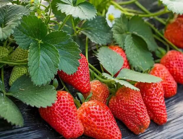 1671114630358720.jpg 8++.jpg