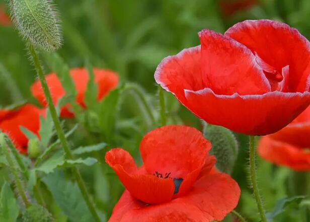 1671115659639731.jpg 5+.jpg