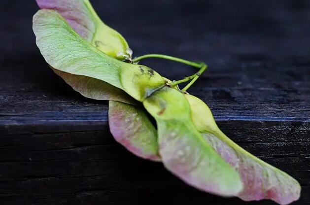 1671115956422745.jpg 4.jpg