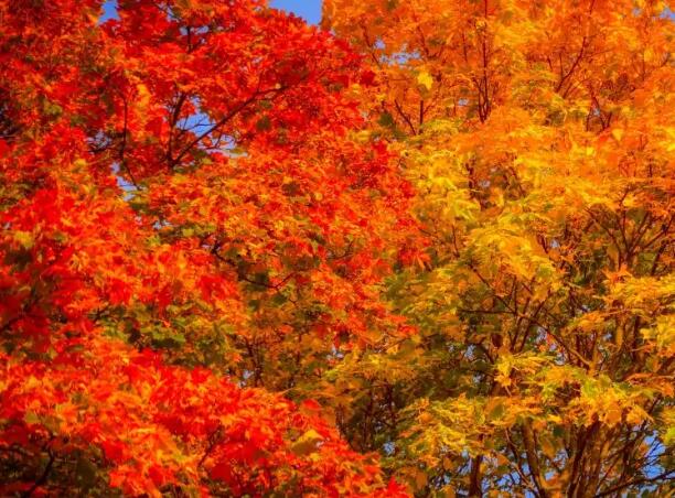 1671115970832269.jpg 4+.jpg