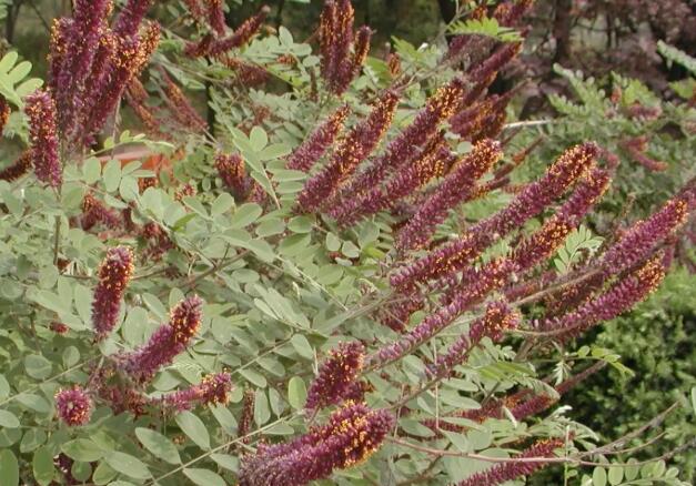 1671120175860516.jpg 3+.jpg