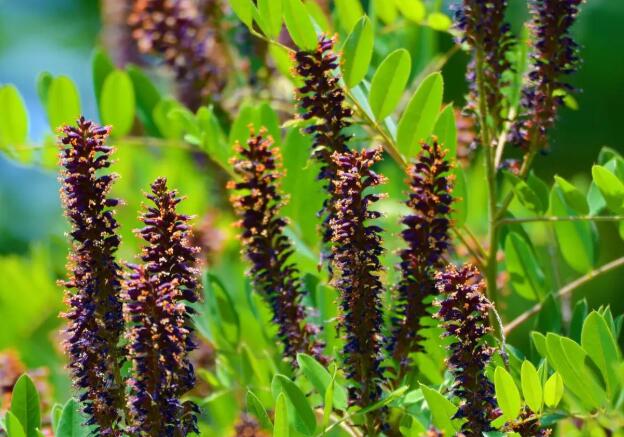 1671120186950783.jpg 3++.jpg