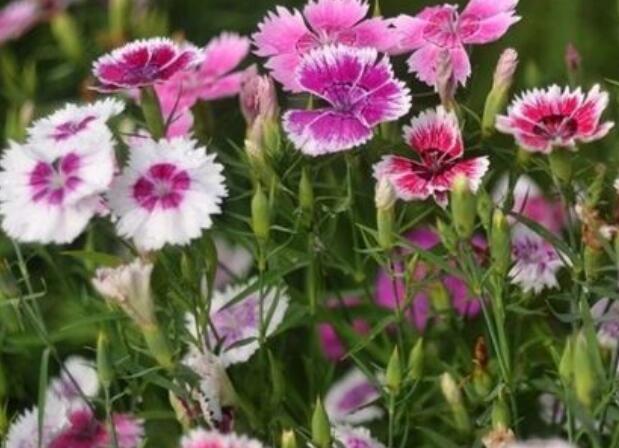 1671199370664110.jpg 5.jpg