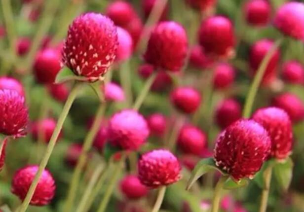 1671200694401934.jpg 1++.jpg