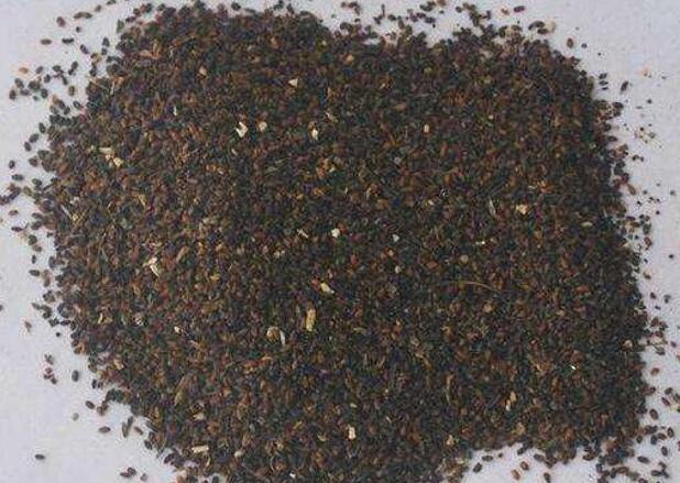 1671204358250719.jpg 2+.jpg