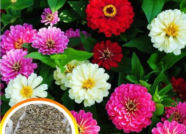 1671204825116597.jpg 1.jpg