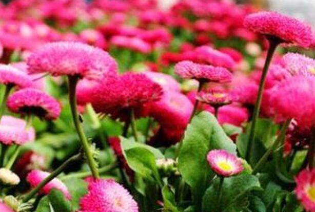 1671204853968266.jpg 1++.jpg