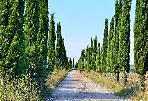 1671349670335503.jpg 9++.jpg