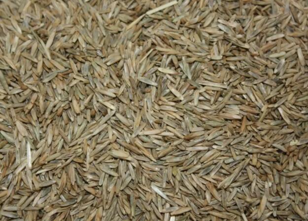 1671353702204035.jpg 8.jpg