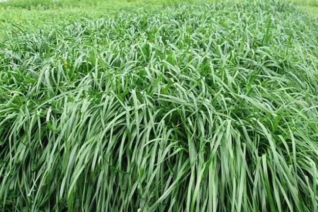 1671353715557619.jpg 8+.jpg