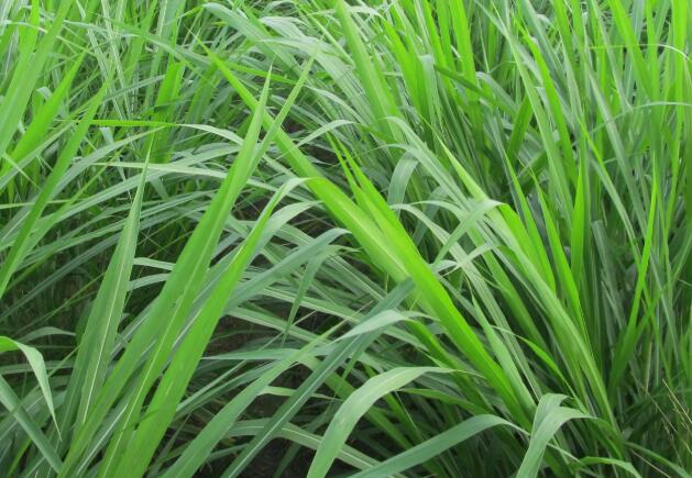 1671353725204415.jpg 8++.jpg