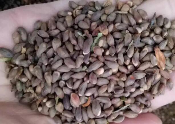 1671354975790184.jpg 4.jpg