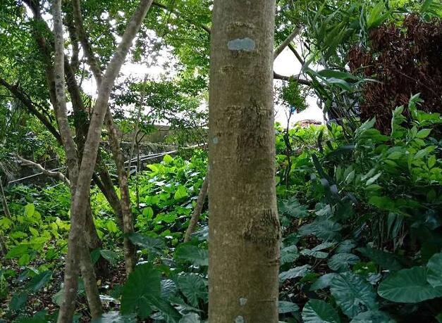 1671355390564008.jpg 3++.jpg