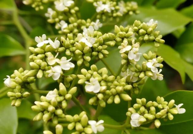 1671355402914097.jpg 3++++.jpg