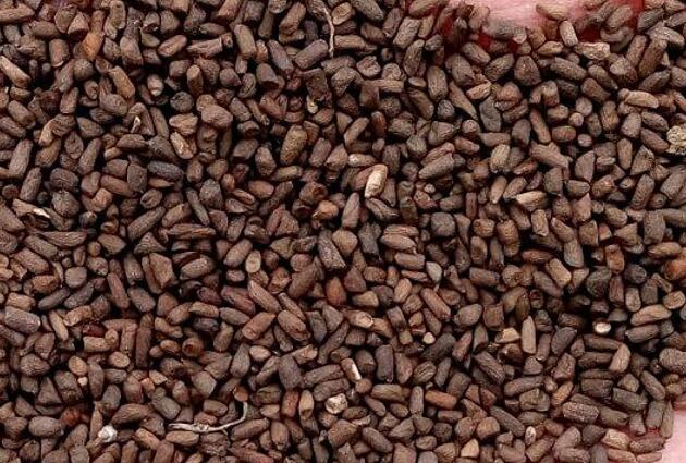 1671461800433733.jpg 0.jpg