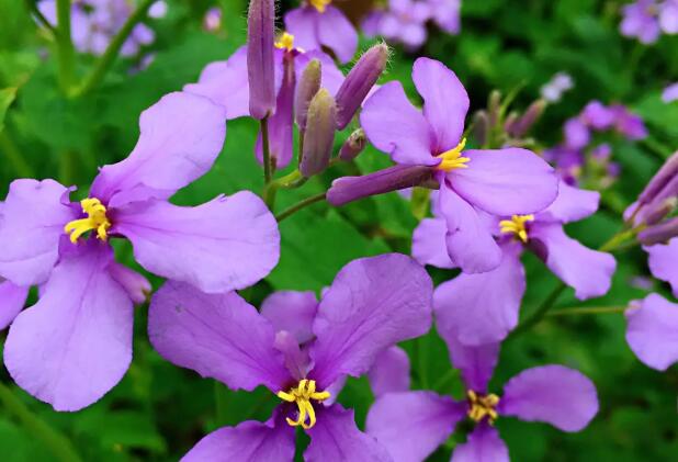 1671461816719097.jpg 0+.jpg