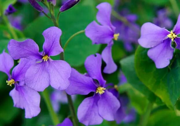 1671461829236502.jpg 0++.jpg