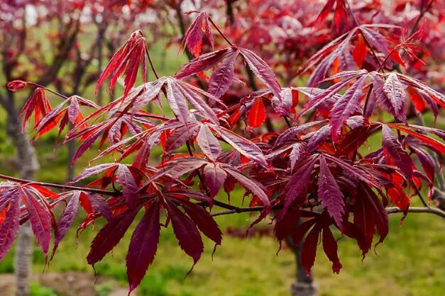 1671464176894875.jpg 4+.jpg