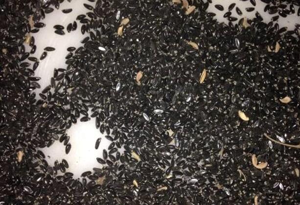 1671541497473938.jpg 9.jpg