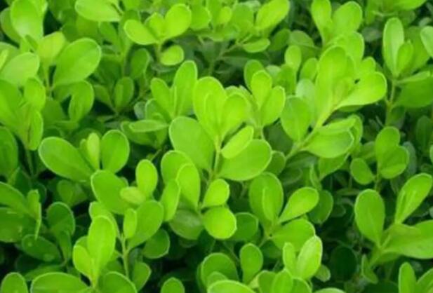 1671541507527739.jpg 9+.jpg