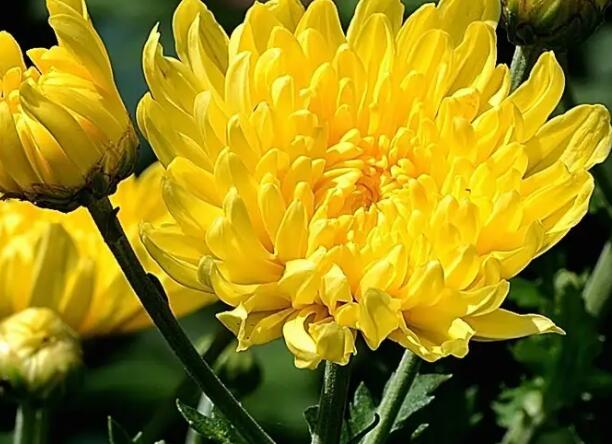 1671545886636721.jpg 6+.jpg