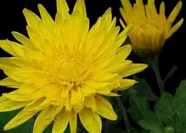 1671545896758194.jpg 6++.jpg