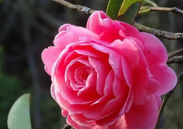 1671547591851774.jpg 1+.jpg