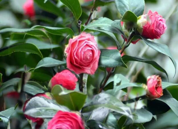 1671547605416805.jpg 1++.jpg