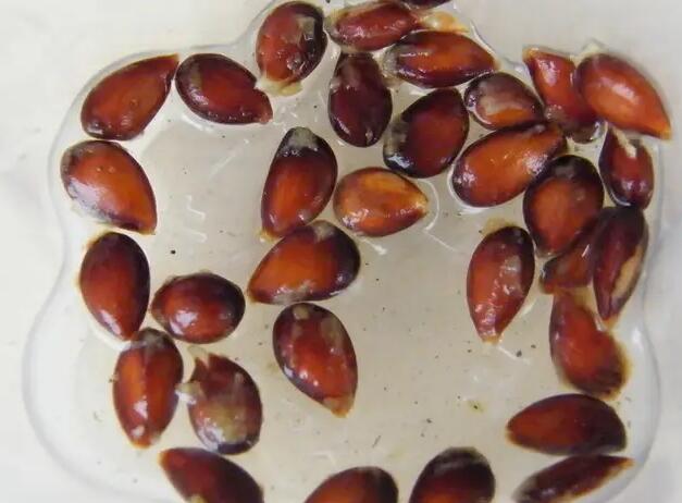 1671704435224881.jpg 0.jpg