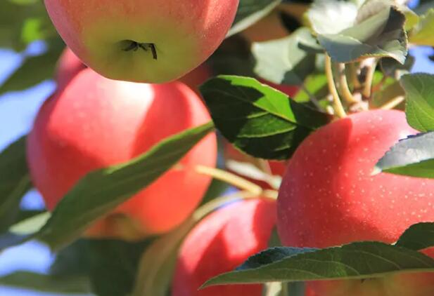 1671704449924858.jpg 0+.jpg