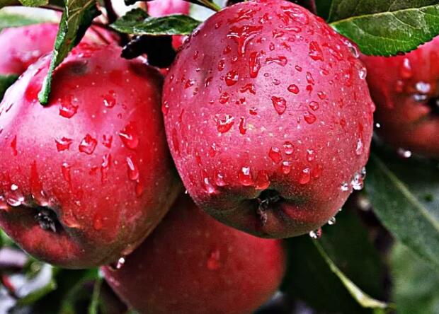 1671704465945398.jpg 0++.jpg