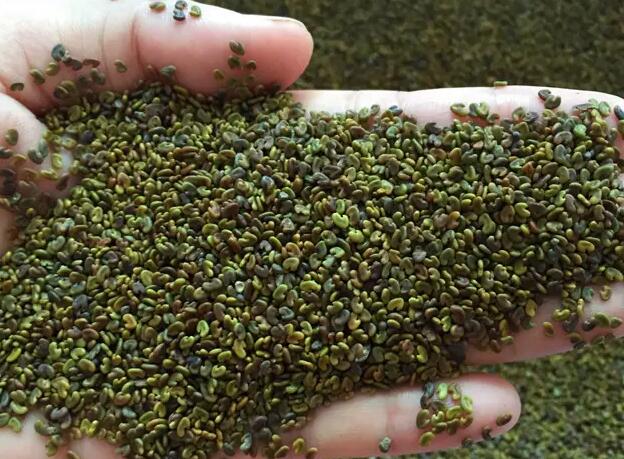 1671705195598965.jpg 0..jpg