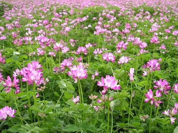 1671705212778202.jpg 00..jpg