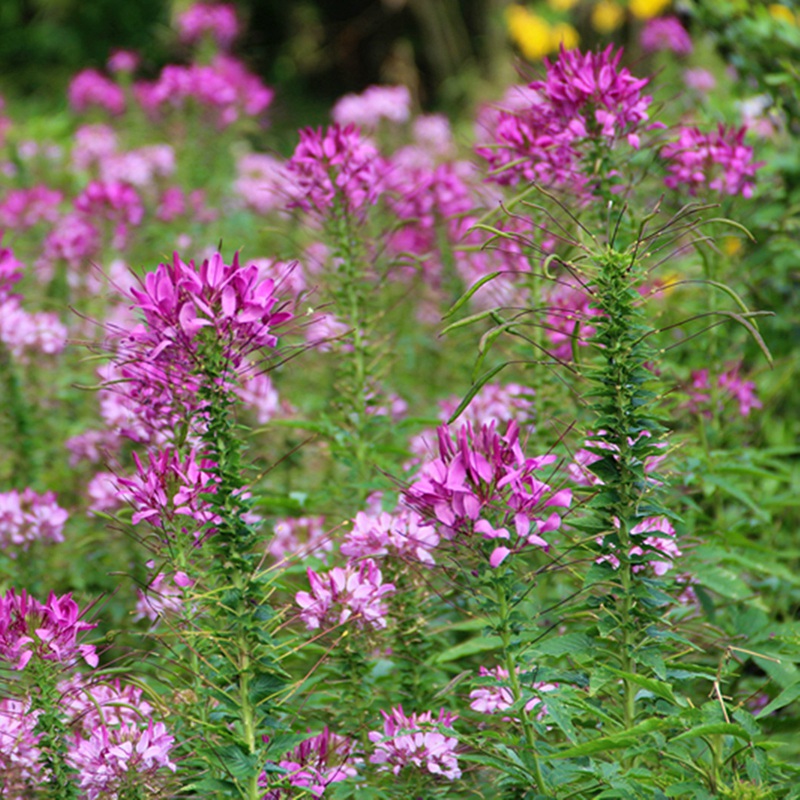 1675481841960461.jpg 16.jpg