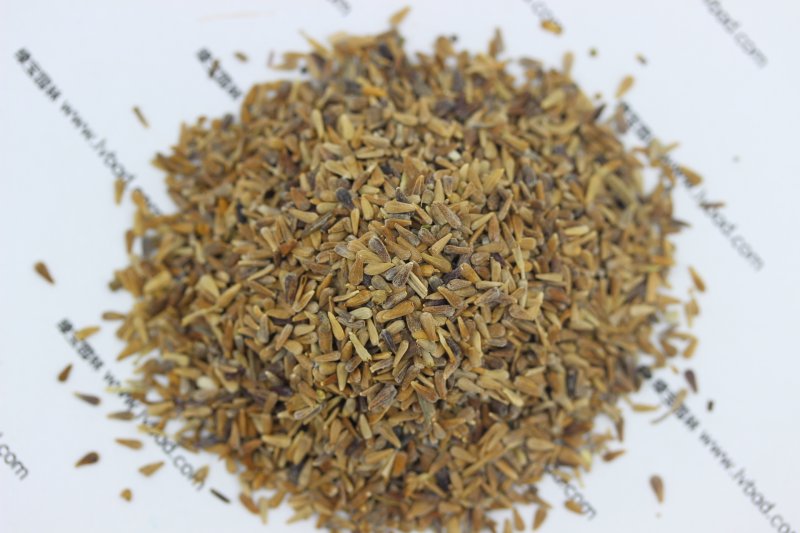 翠菊種子 翠菊種子