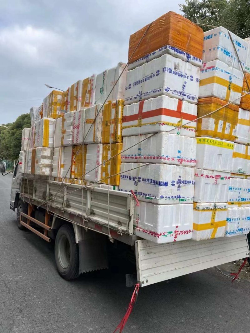 黑藻裝箱現(xiàn)場發(fā)貨 黑藻裝箱現(xiàn)場發(fā)貨